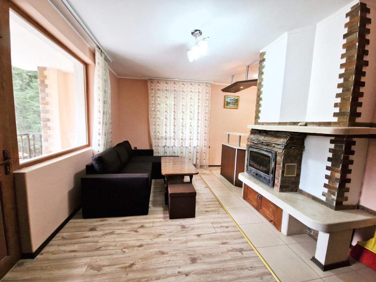 Ивелия Къща За Гости Dospat Buitenkant foto