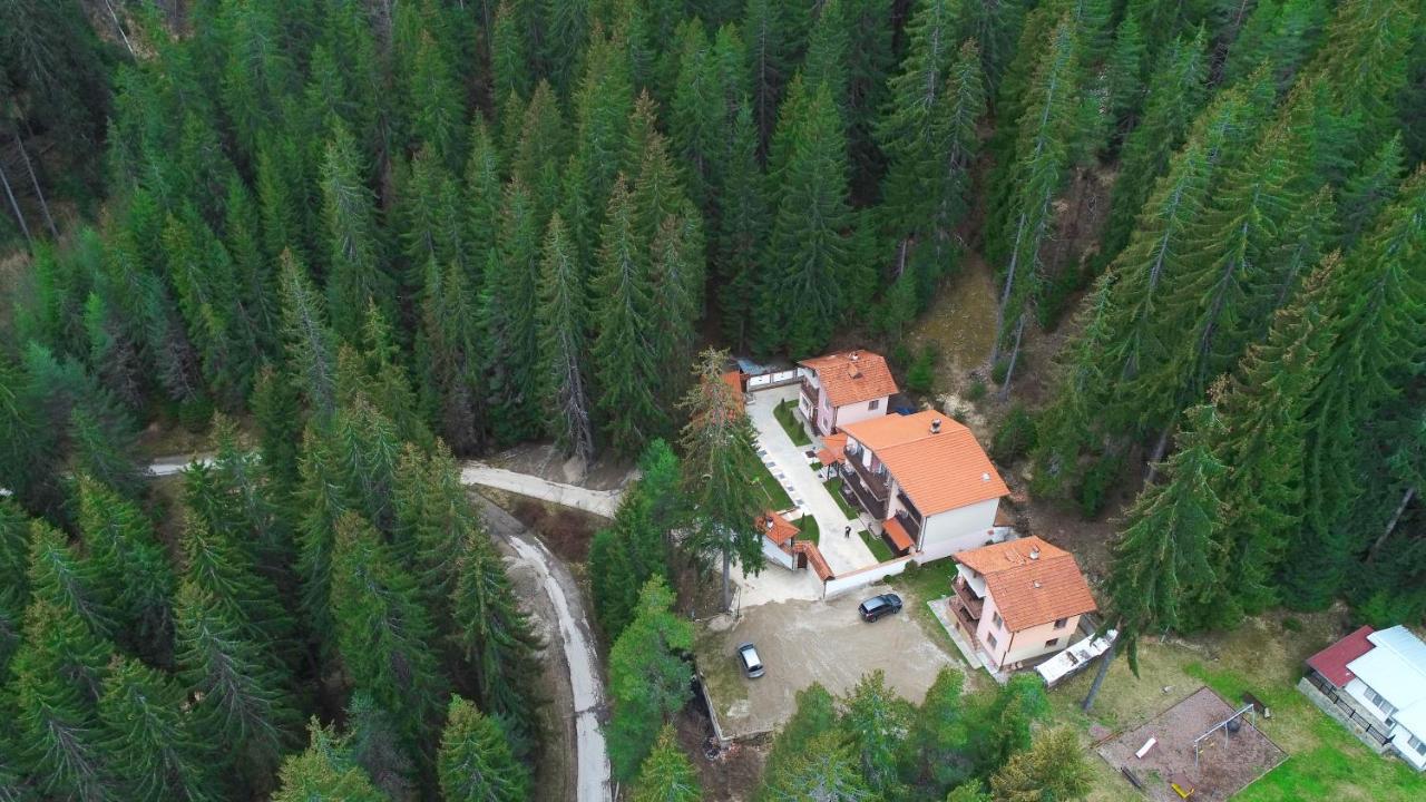 Ивелия Къща За Гости Dospat Buitenkant foto