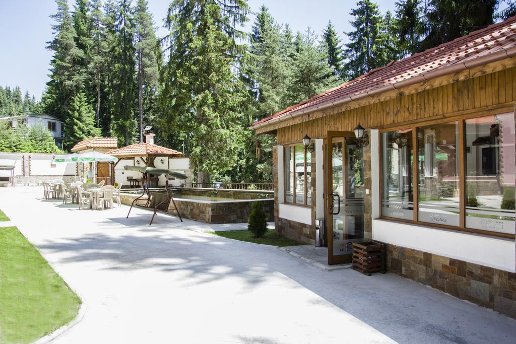 Ивелия Къща За Гости Dospat Buitenkant foto
